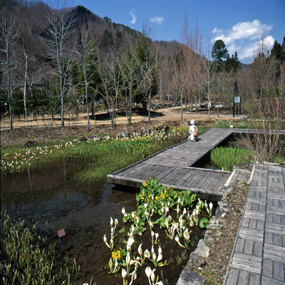 三依水生公園ー車20分。珍重な植物があるとか？。