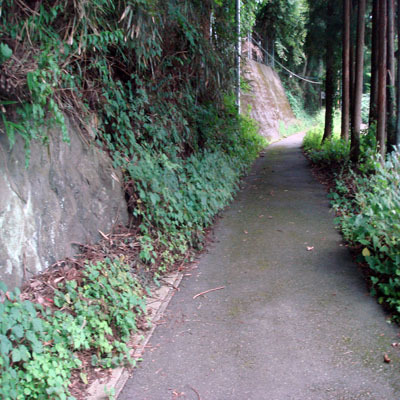 平方山登山路ー傾斜45度の山道。結構キツイ。