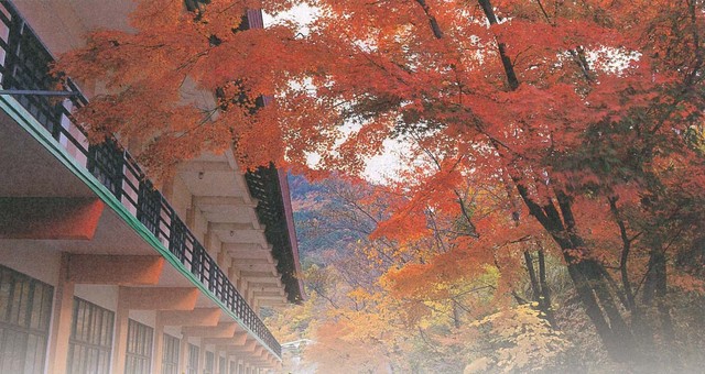 当館の裏山「城山」の紅葉