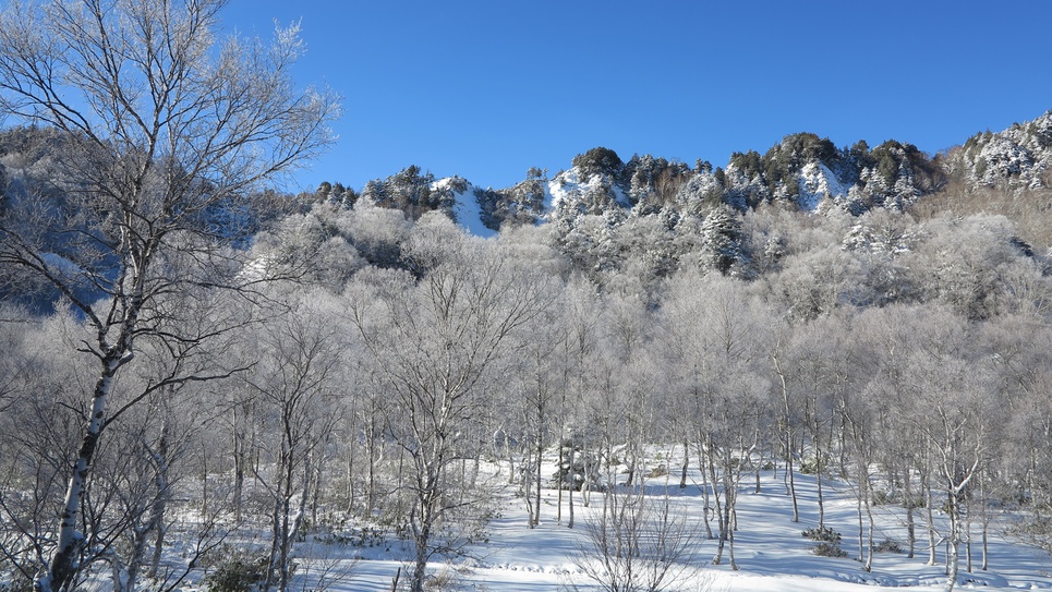 *【周辺(冬)】四季折々、様々な表情を見せてくれる志賀高原の自然。