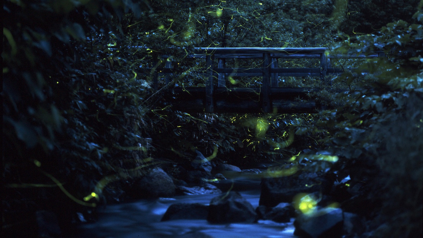 Ishinoyu Lodge Image 5, Nagano, Japan