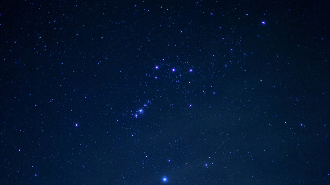 *【石の湯の庭】冬の夜空に輝くオリオン座。大切な人と一緒に夜のお散歩もおすすめです