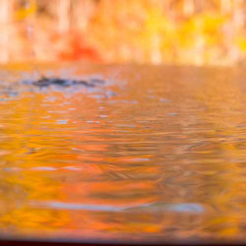 Takayama Ryujin Onsen Ryu Resort & Spa Image 4, Takayama, Japan