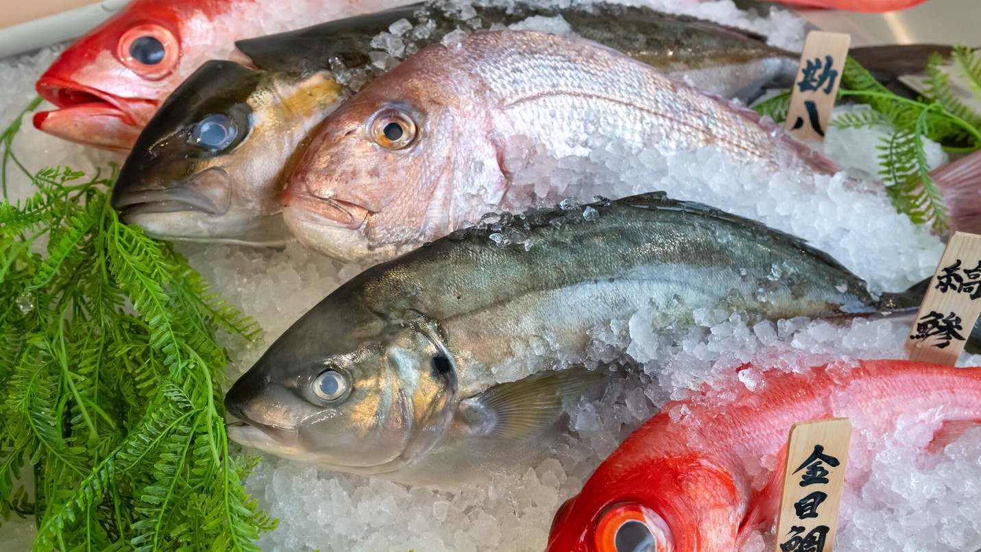 本鮪や地魚等から選べるお刺身ビュッフェ
