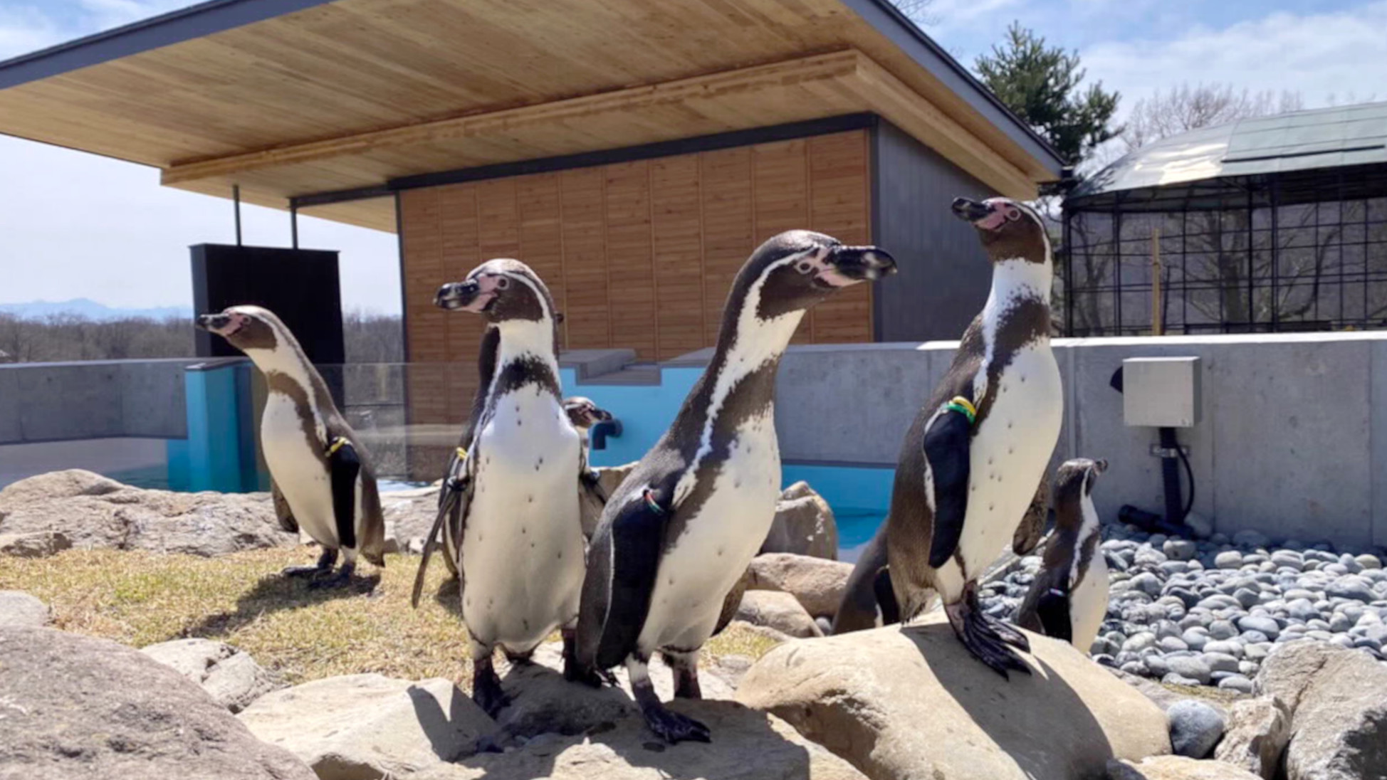 小諸市動物園