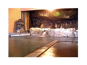 Akakura Onsen Yuyu no Yado Yuzawaya