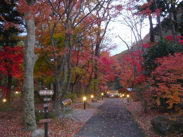 秋」四季の森夕暮れ