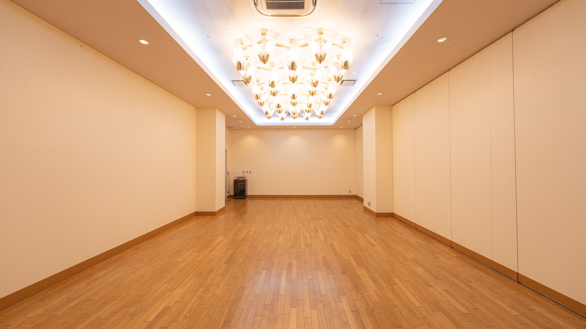 大小あわせて５つの会場がございます。パーティーや会議、セミナーなど用途にあわせご提案いたします。