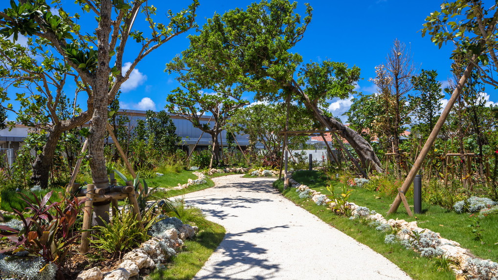 下地島空港での飛行機と空港ターミナル間は徒歩での移動。宮古島の空気をすぐに全身で感じられます♪