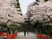 仙台東照宮♪桜の名所です♪駅から電車で約８分