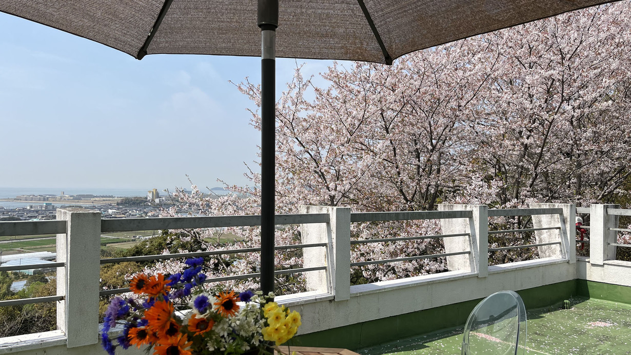 テラスからの桜  *