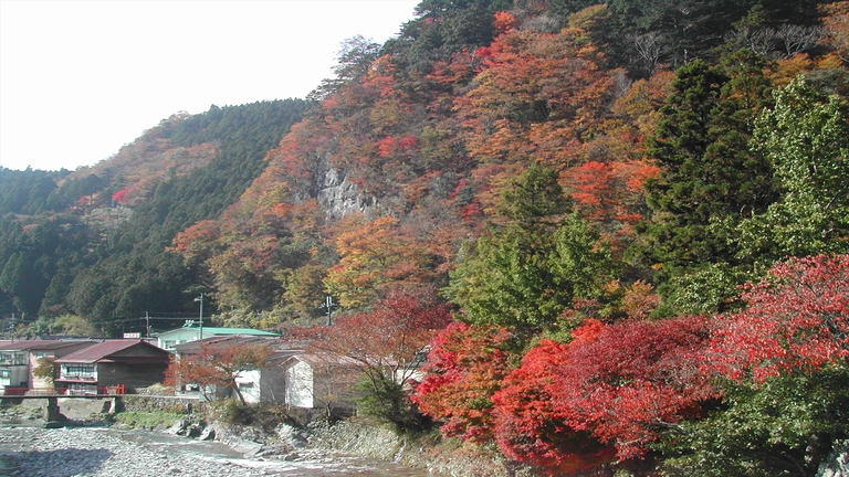 紅葉と川