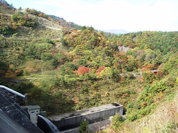 大石ダムの紅葉は１０月末から見ごろです！