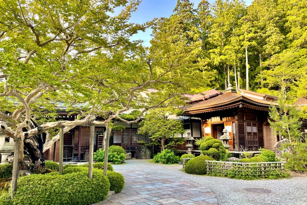 庭園一例