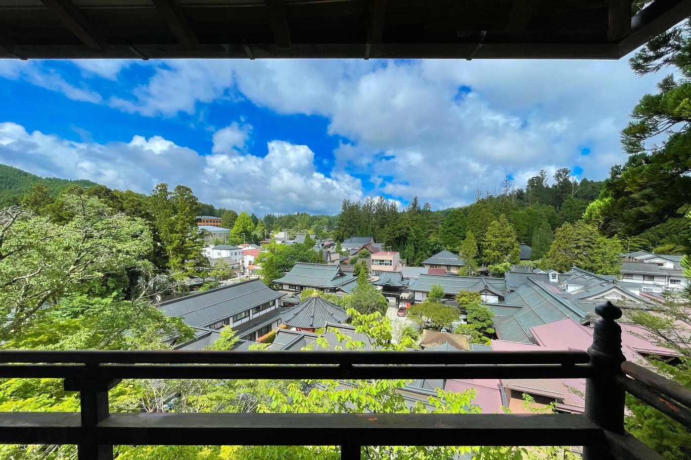 高層階からの眺望
