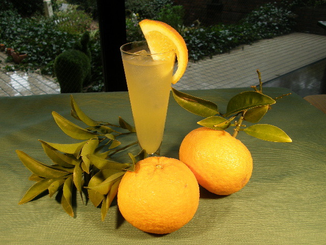 夏ミカンジュース