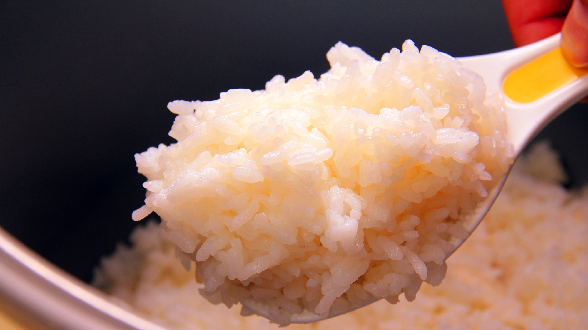 #お食事お米は茨城県内の契約農家直送のコシヒカリ。
