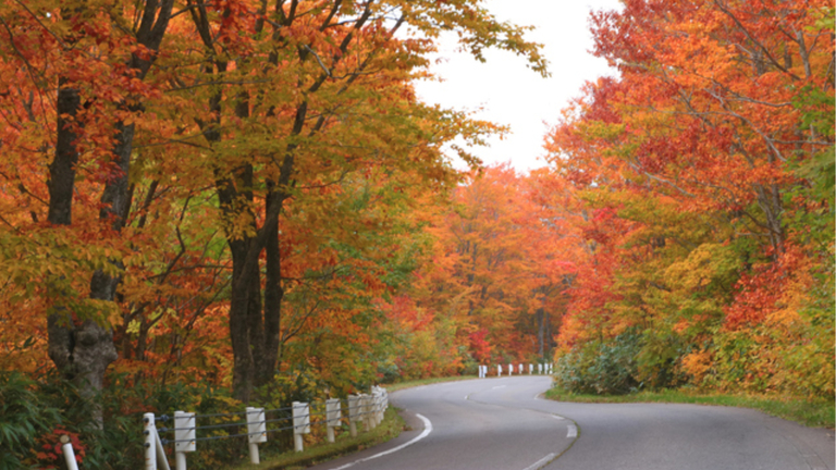 【八甲田の紅葉】当館から車で120分