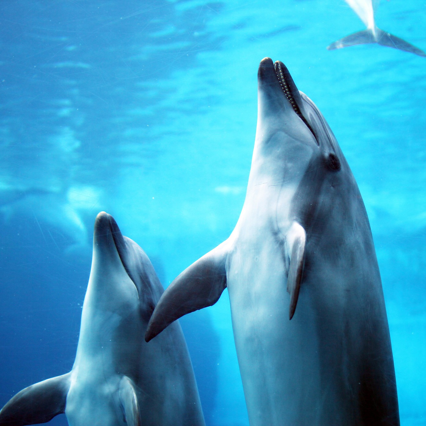 名古屋港水族館