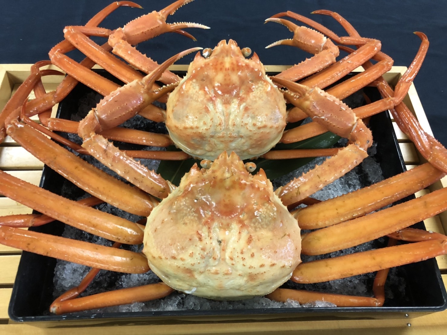紅ズワイ蟹