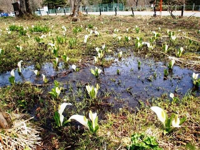 This photo about Pension Sonette shared on HyHotel.com