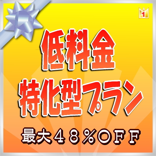 低料金に特化プラン