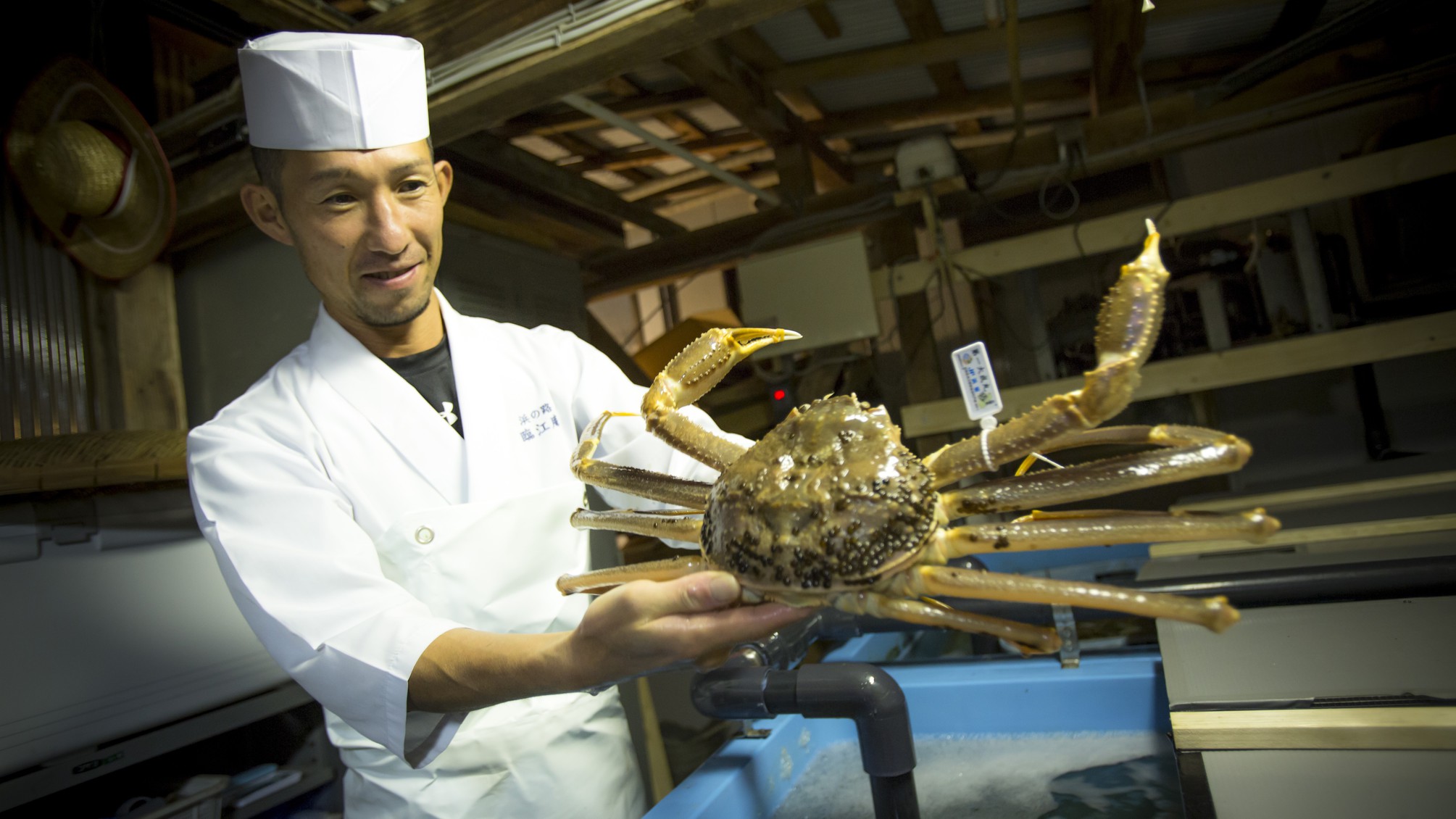 【活ガニ】水槽で管理された、活きの良い活ガニを夕食で。