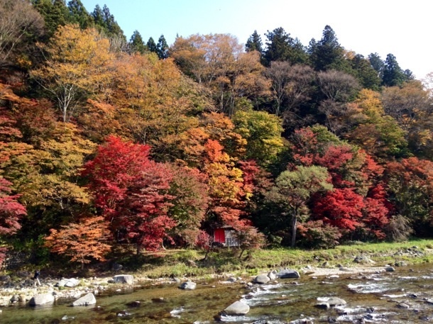 近辺紅葉スポット