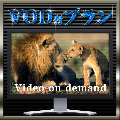 ＶＯＤ付プラン