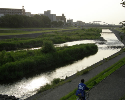 初夏の犀川の風景