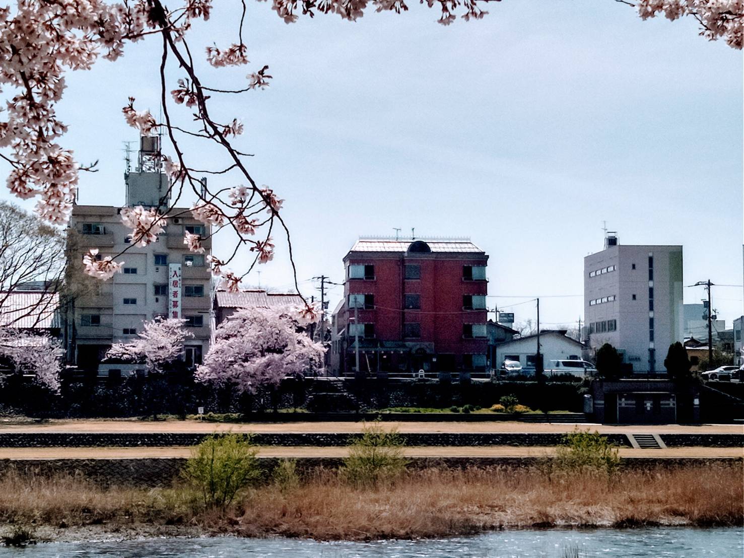 アイビー外観２０２０犀川