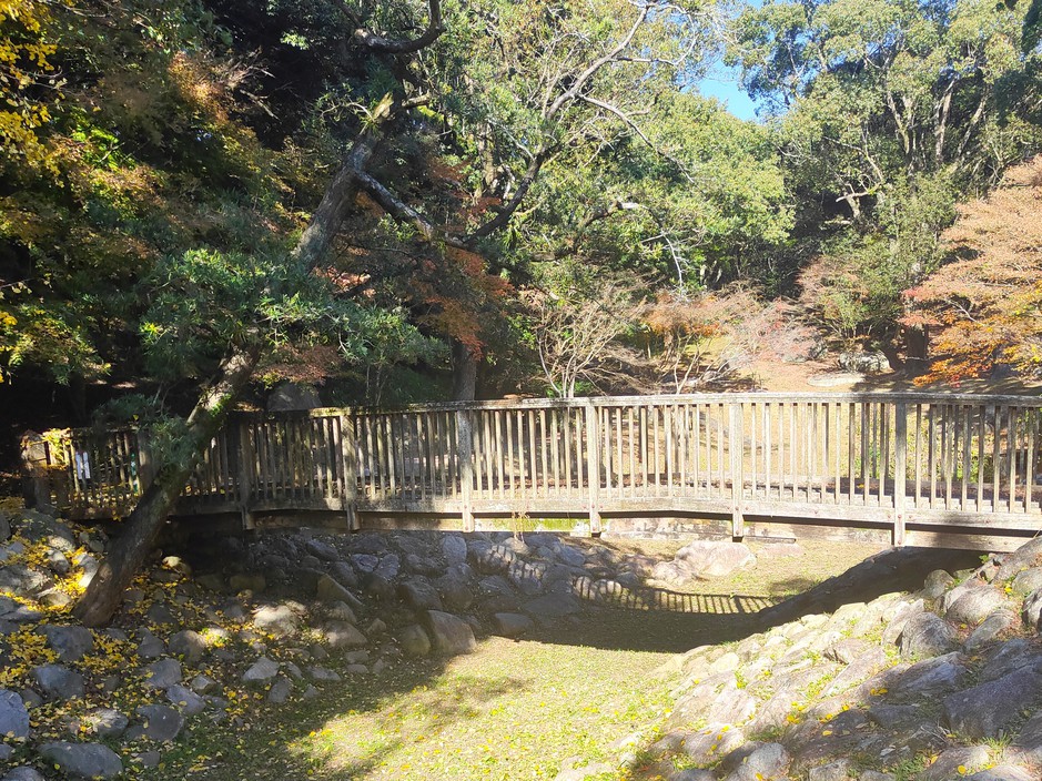 西公園_木の橋