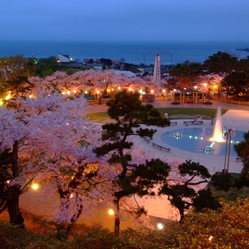 夜桜函館公園