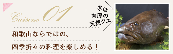 和歌山ならではの、四季折々の料理を楽しめる！
