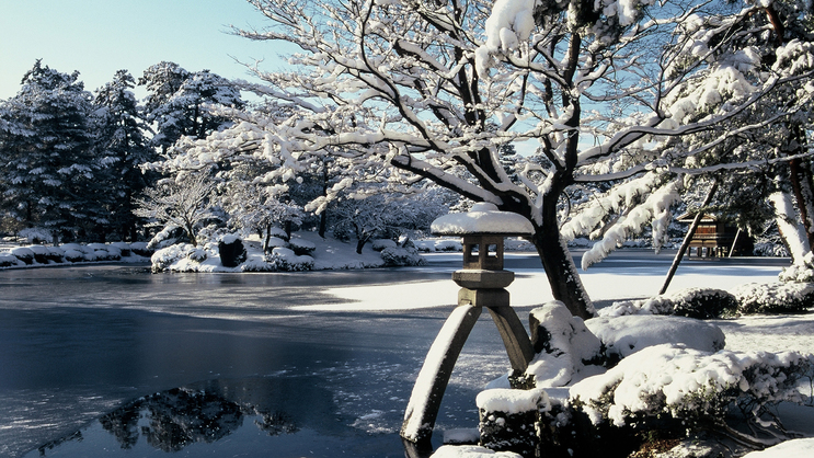 冬の兼六園