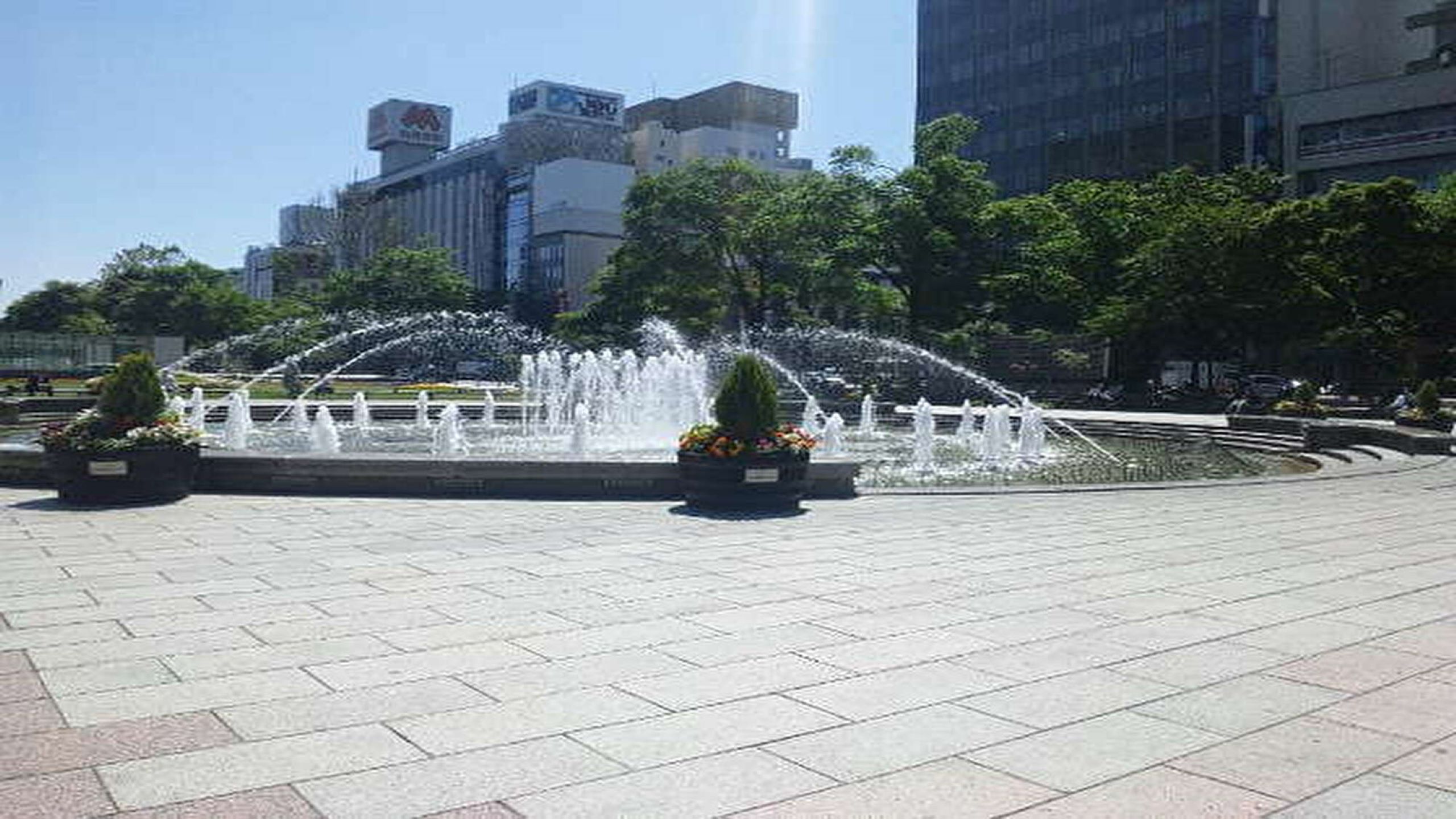・大通公園３