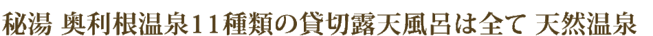 秘湯 奥利根温泉11種類の貸切露天風呂は全て 天然温泉
