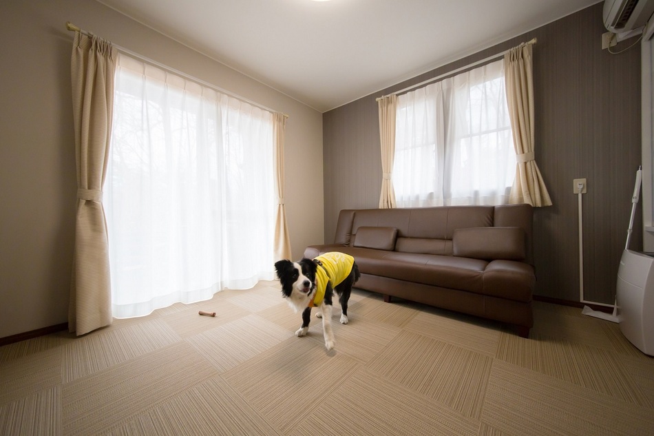 Насу - Hotel Forest Hills Nasu with Dogs