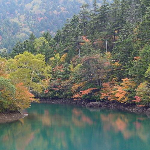 紅葉の大沼池の紅葉