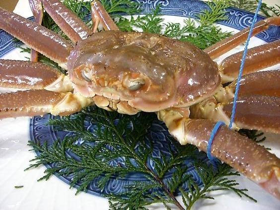 活け津居山かに