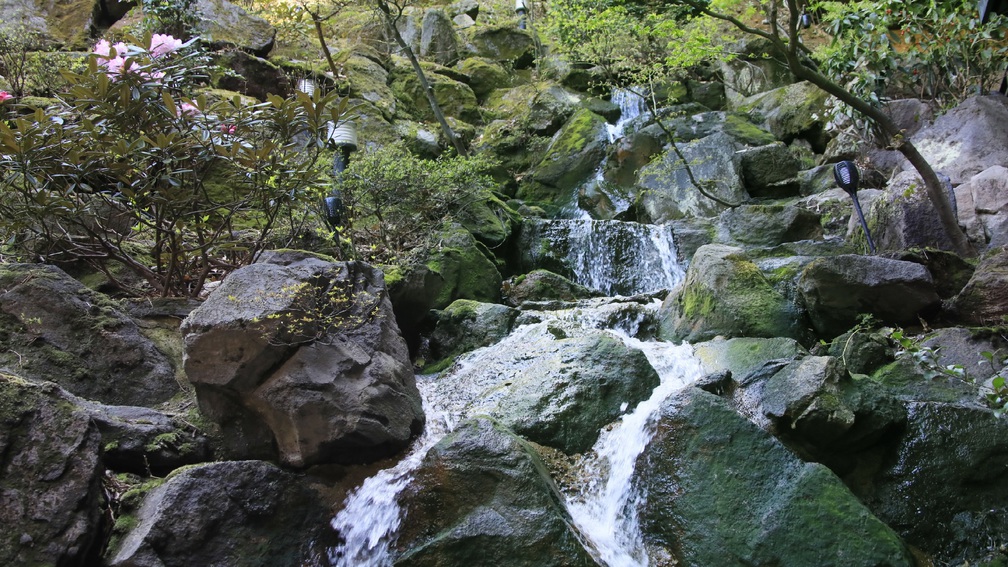 【中庭】滝の流れを感じるひと時