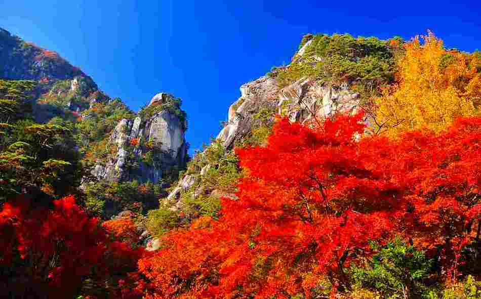 紅葉に染まる『昇仙峡』
