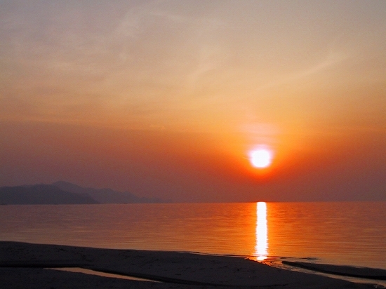 夕日1