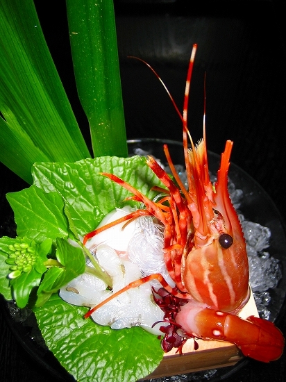 お造りわさびの花と一緒に