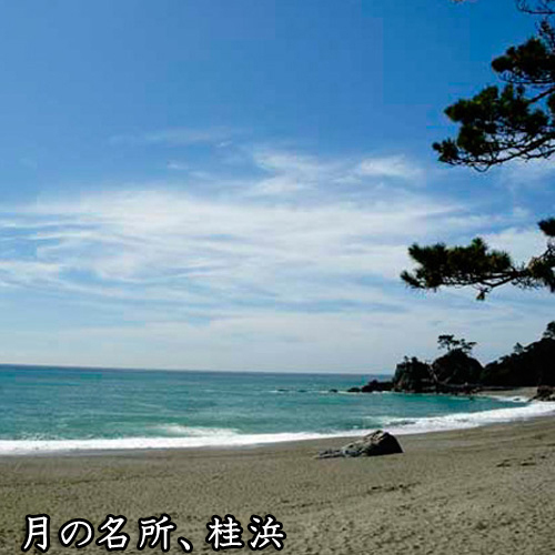 桂浜当館より車で30分