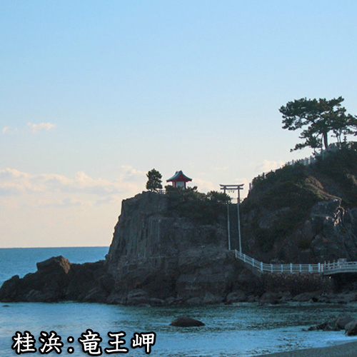 桂浜竜王岬当館より車で30分