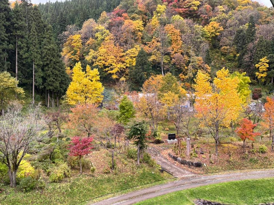 特別室からの眺め