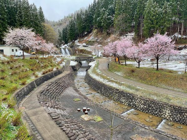 特別室からの眺め