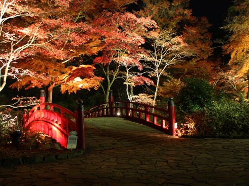 【熱海の紅葉】「熱海梅園もみじまつり」を見に行こう！ 1泊2食バイキング　飲み放題付き