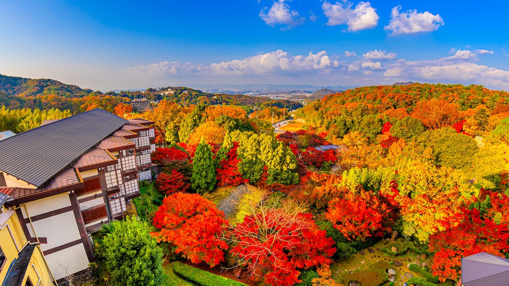 秋の贅沢な風景